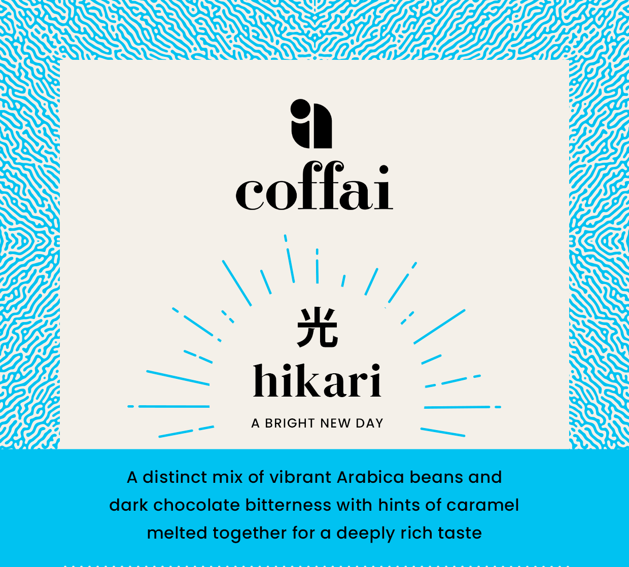 光 hikari blend