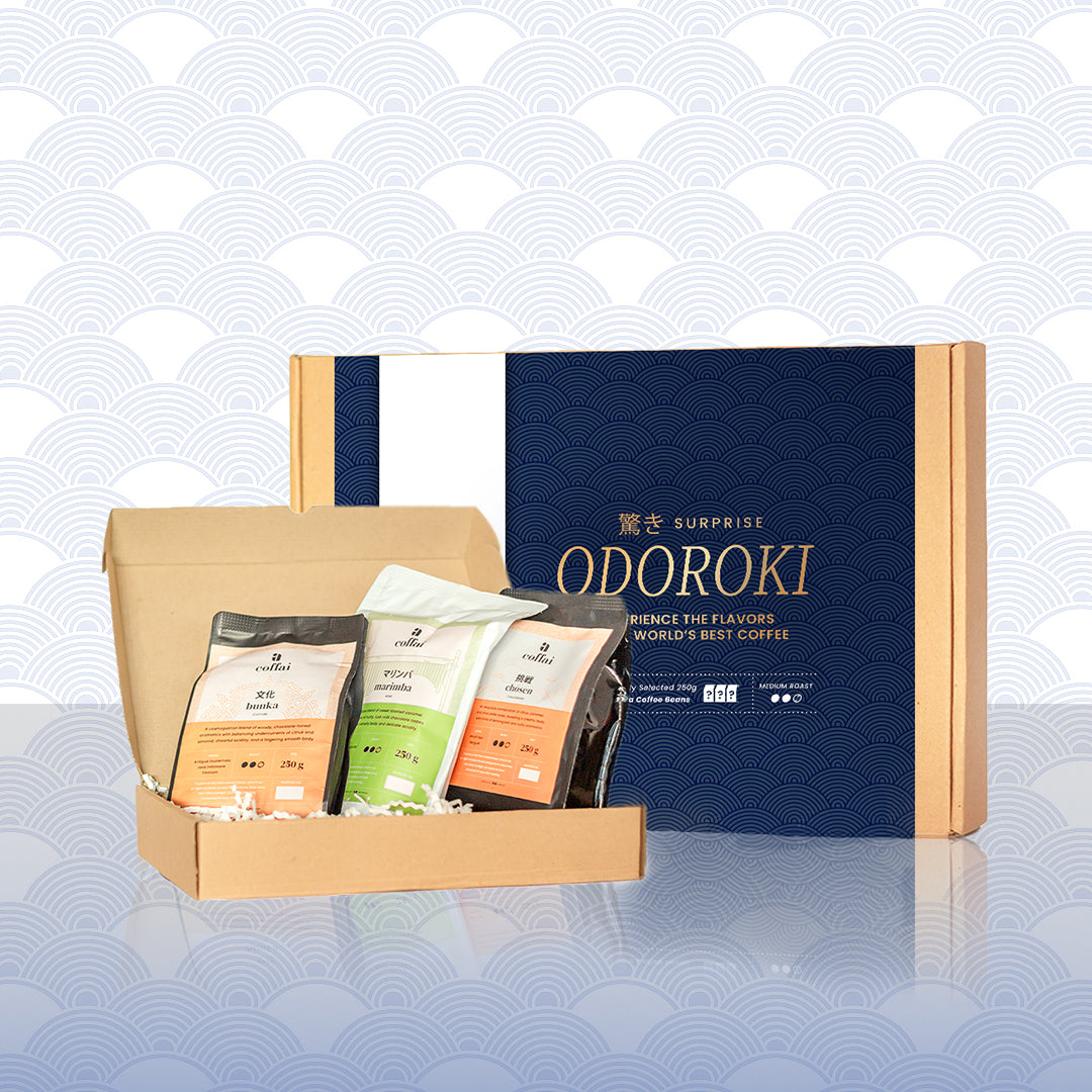 驚き Odoroki (Surprise)